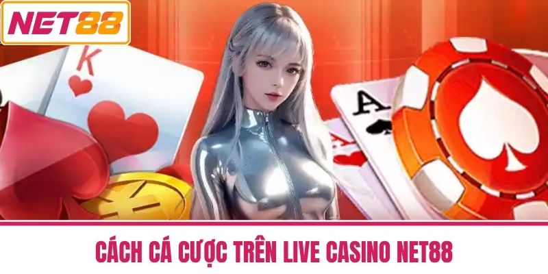 live casino net88 3 Cách cá cược trên Live Casino NET88